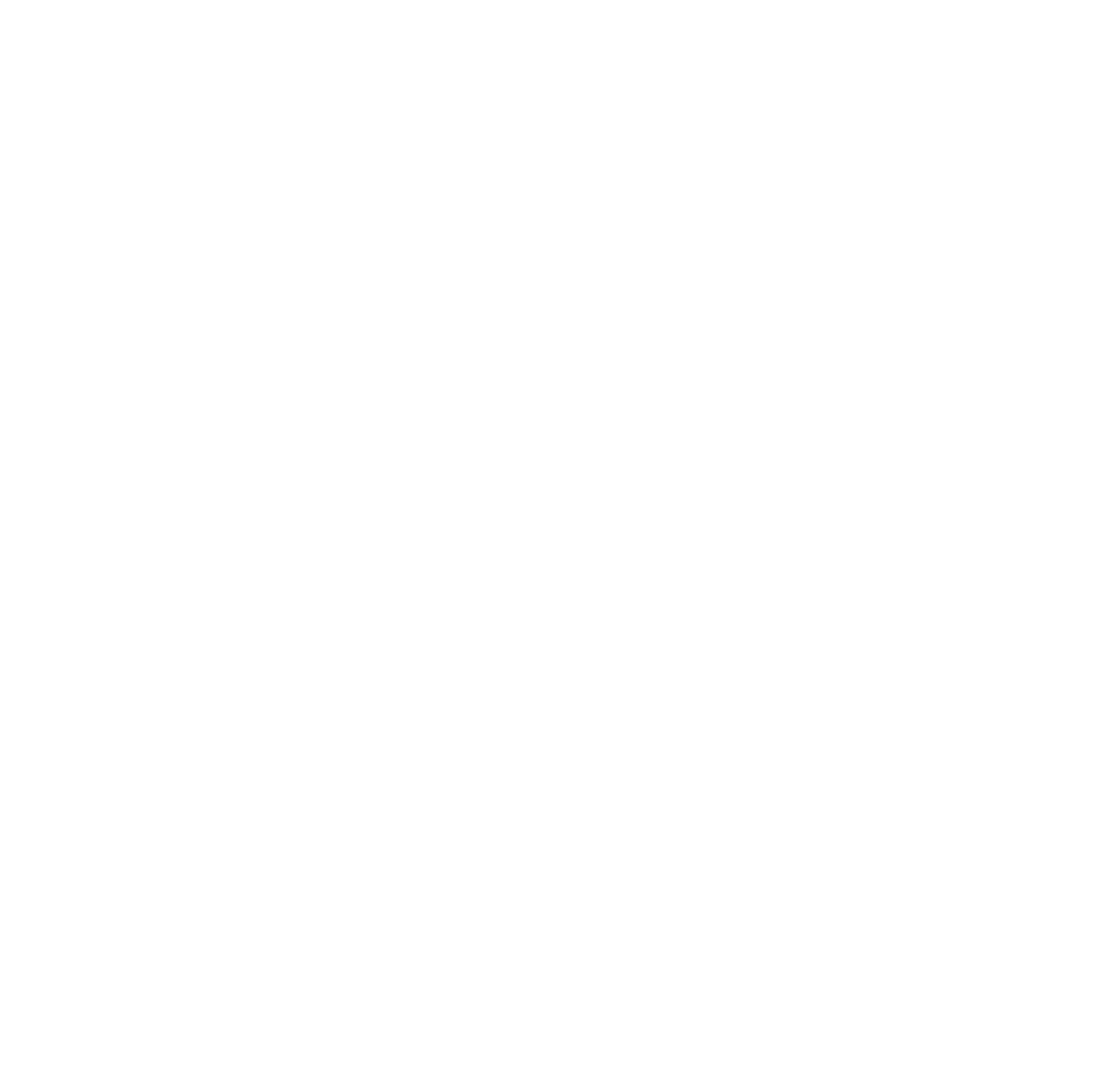summer%20of%20healing%20logo_final_white